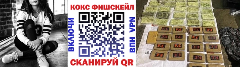 площадка наркотические препараты  Севск  Кокаин Fish Scale 