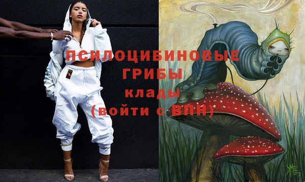 гидропоника Белоозёрский